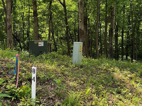 0.82 Acres of Residential Land for Sale in Ellijay, Georgia