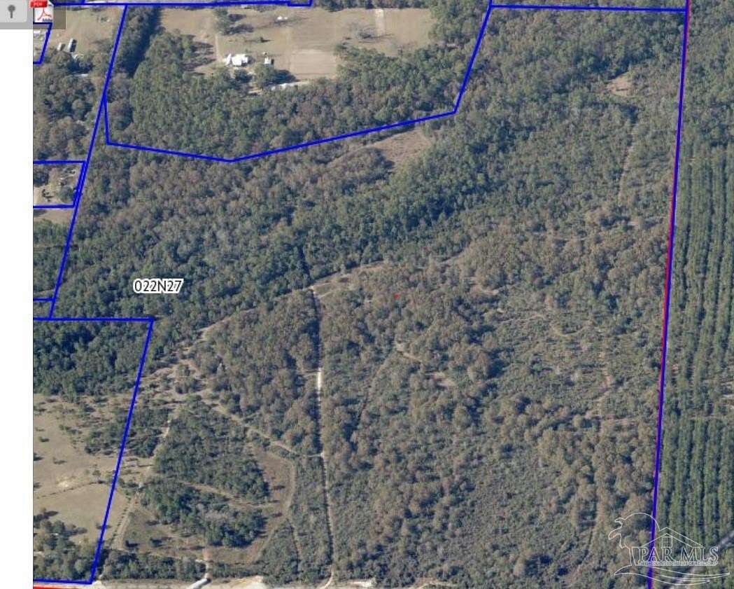 91.8 Acres of Land for Sale in Milton, Florida