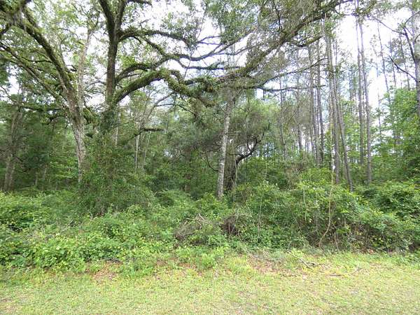 33.3 Acres of Recreational & Residential Land for Sale in Monticello, Florida