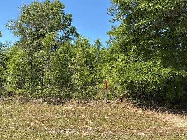 0.23 Acres of Residential Land for Sale in Chipley, Florida