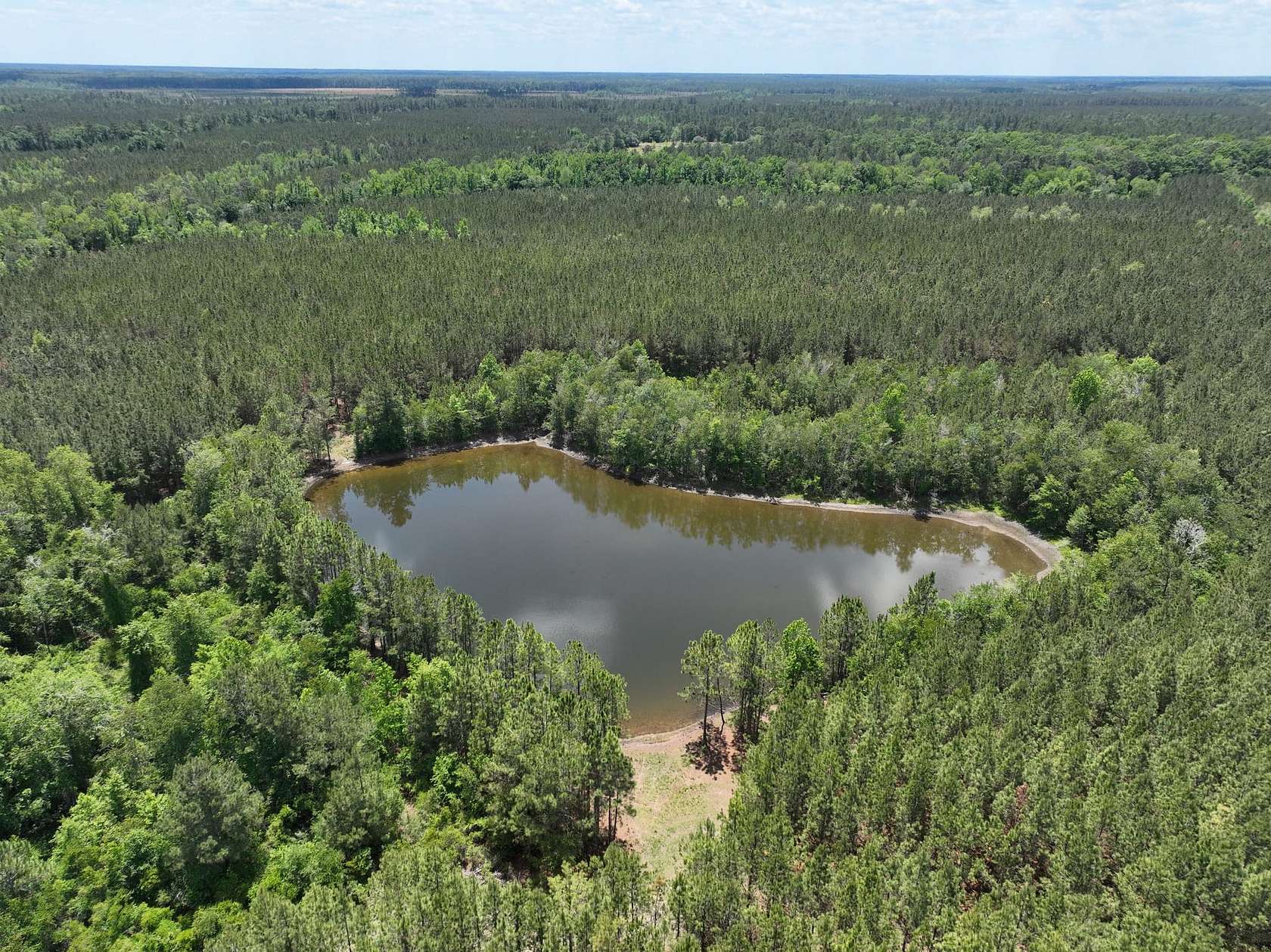 151 Acres of Land for Sale in Collins, Georgia