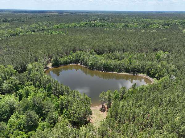 151 Acres of Land for Sale in Collins, Georgia