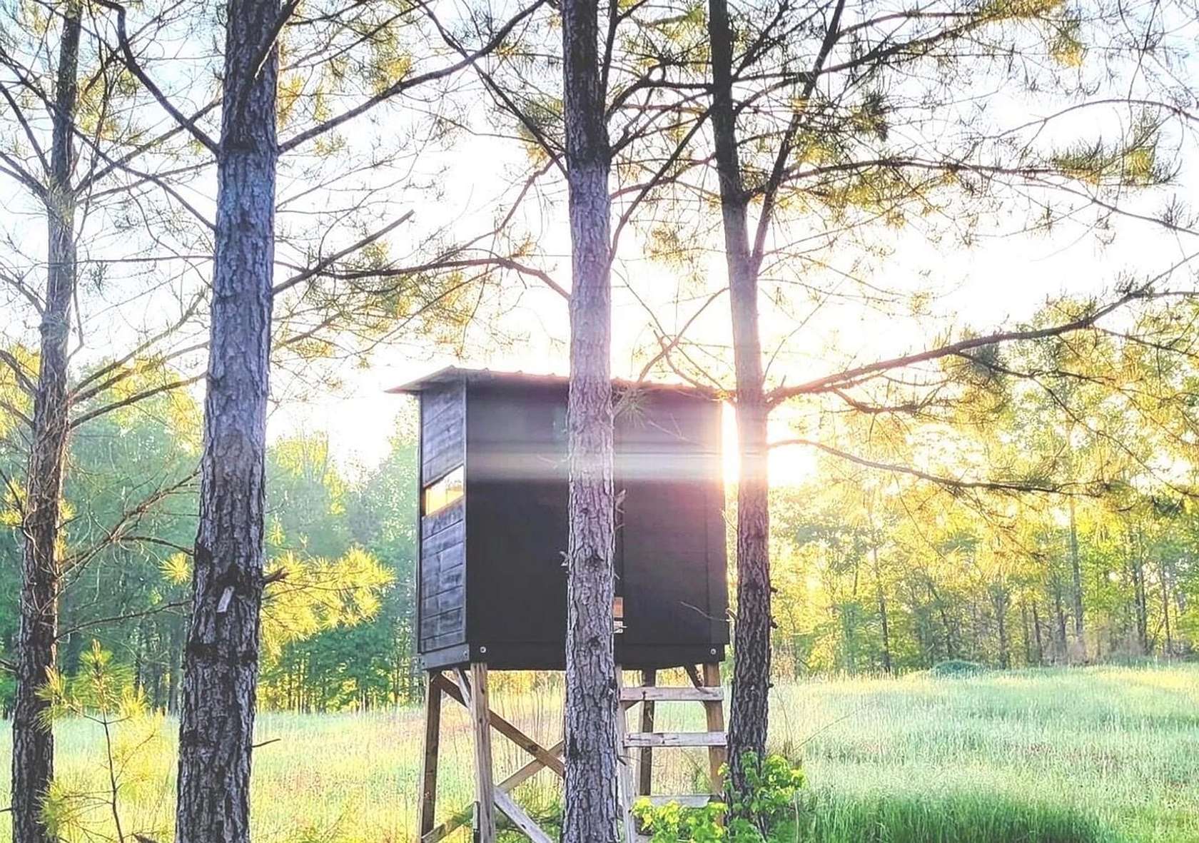 140 Acres of Recreational Land for Sale in Culloden, Georgia
