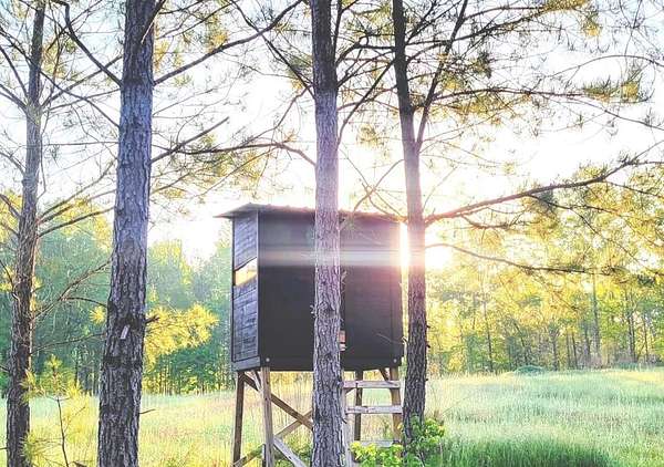 140 Acres of Recreational Land for Sale in Culloden, Georgia