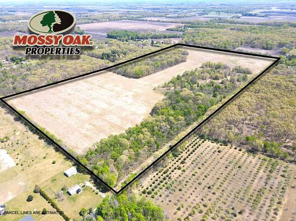 80 Acres of Land for Sale in Grovertown, Indiana