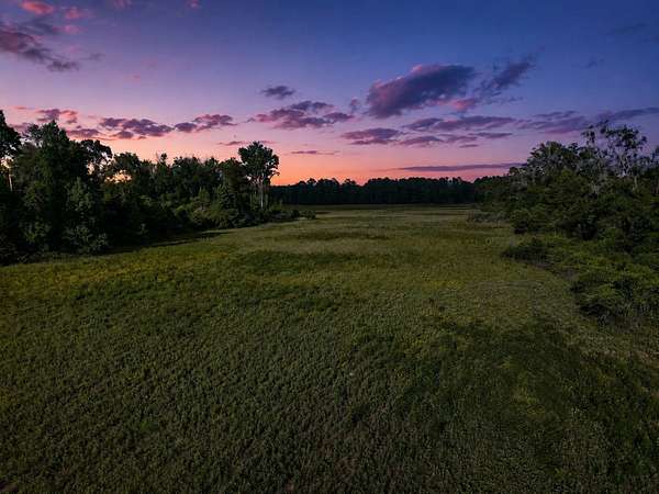 20 Acres of Recreational Land for Sale in Live Oak, Florida