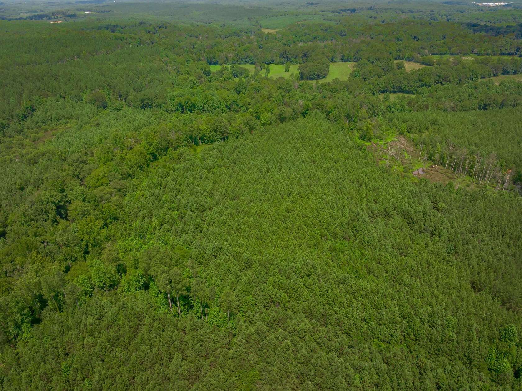 75.2 Acres of Land for Sale in Smyrna, South Carolina