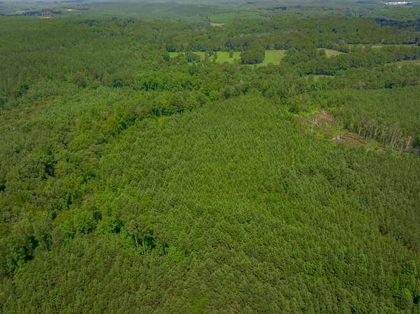 75.2 Acres of Land for Sale in Smyrna, South Carolina