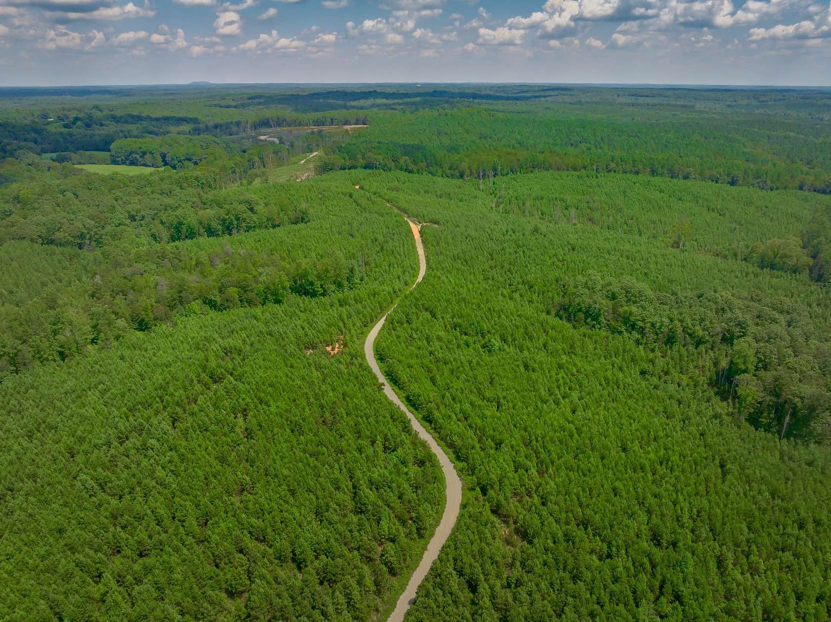 79.7 Acres of Land for Sale in Smyrna, South Carolina