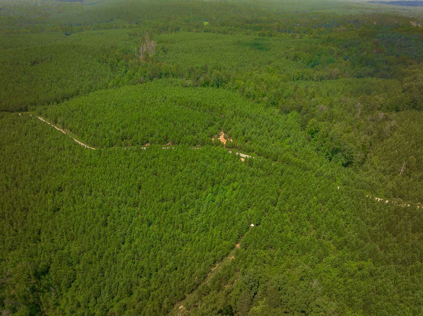 41.6 Acres of Land for Sale in Smyrna, South Carolina