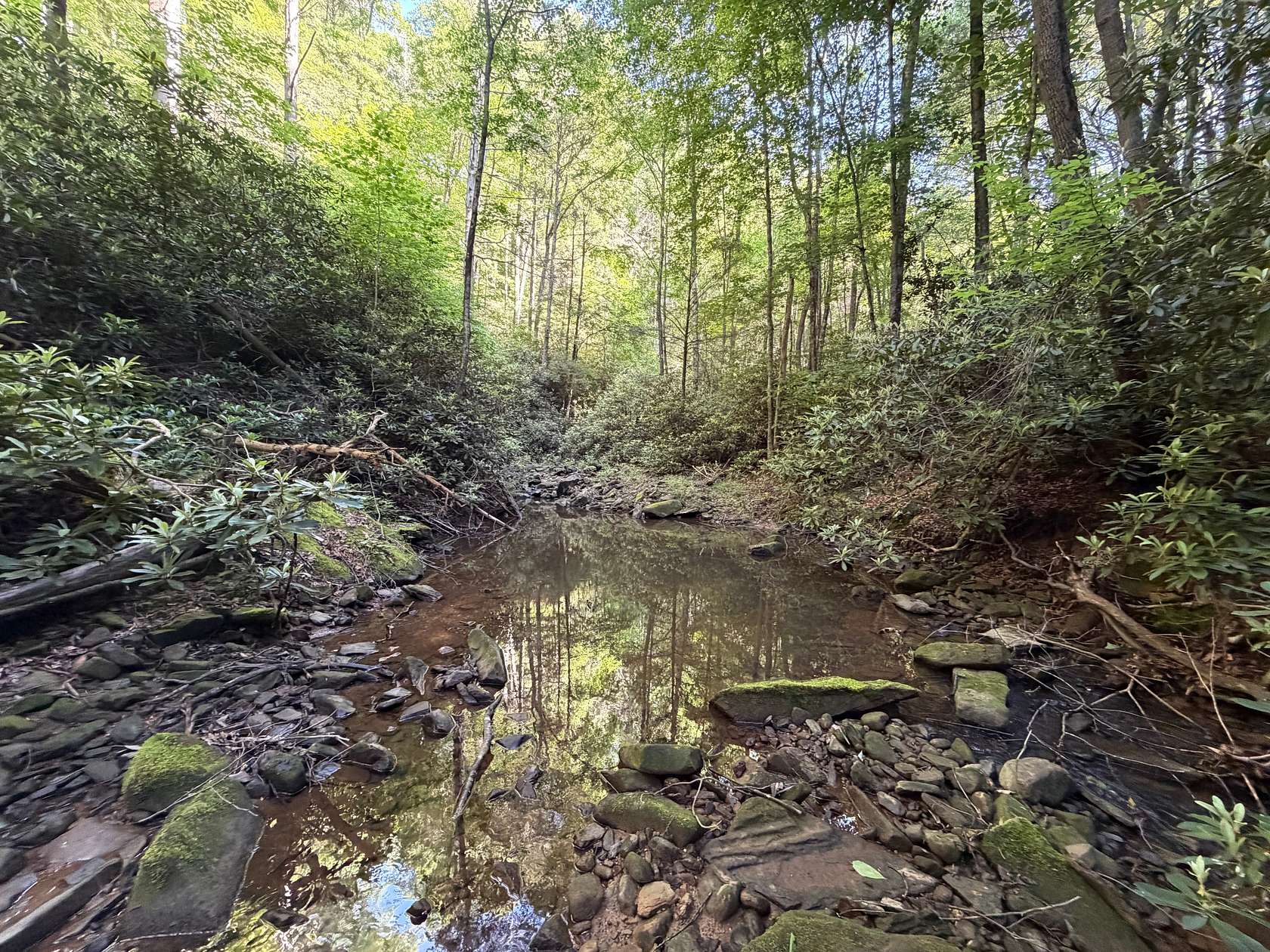 49 Acres of Recreational & Residential Land for Sale in Pound, Virginia