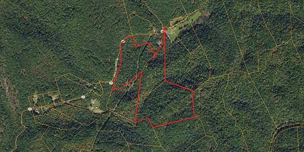49 Acres of Recreational & Residential Land for Sale in Pound, Virginia