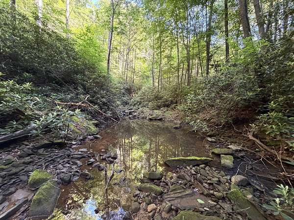 49 Acres of Recreational & Residential Land for Sale in Pound, Virginia