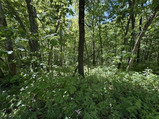 6.5 Acres of Land for Sale in Maysville, Missouri