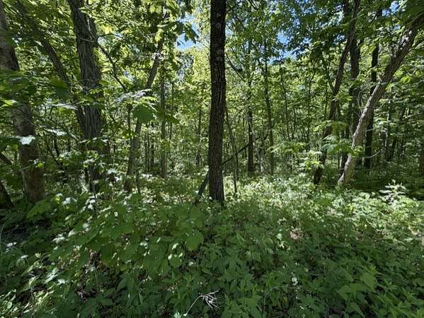 6.5 Acres of Land for Sale in Maysville, Missouri