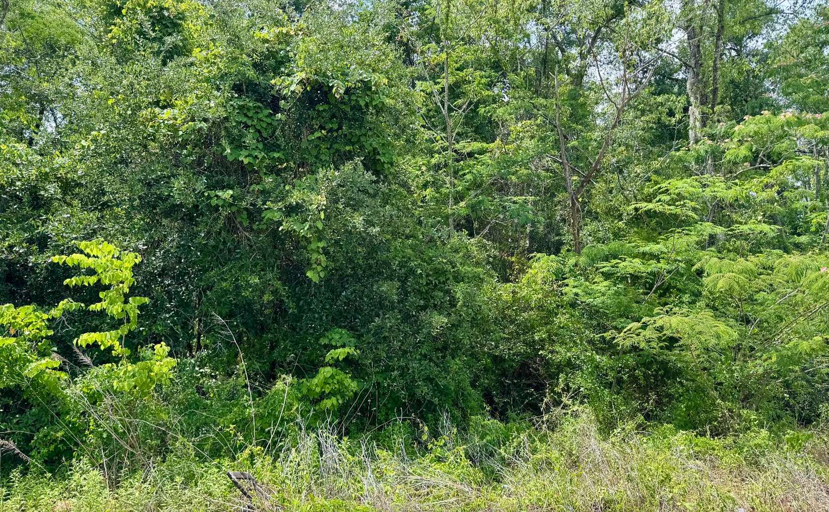0.25 Acres of Residential Land for Sale in Jasper, Florida