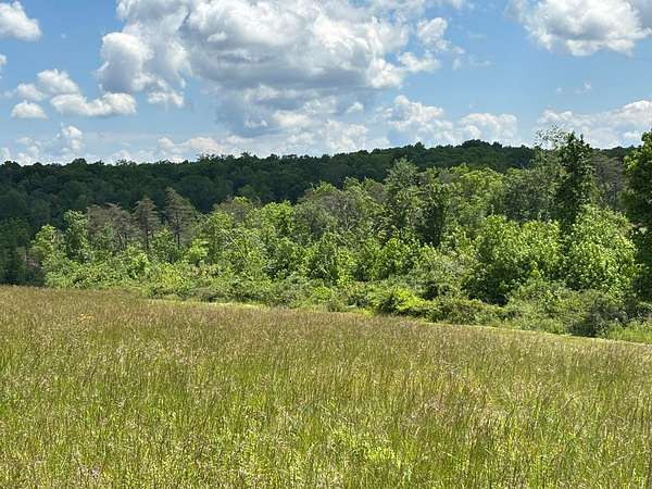 8.47 Acres of Land for Sale in Graysville, Tennessee