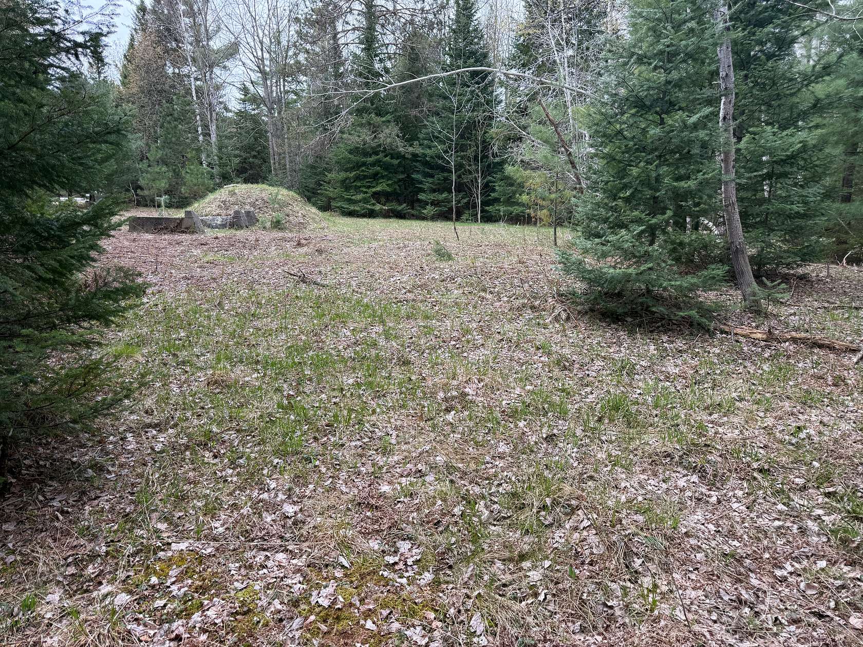 25.7 Acres of Land for Sale in Kalkaska, Michigan