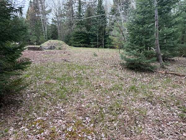 25.7 Acres of Land for Sale in Kalkaska, Michigan