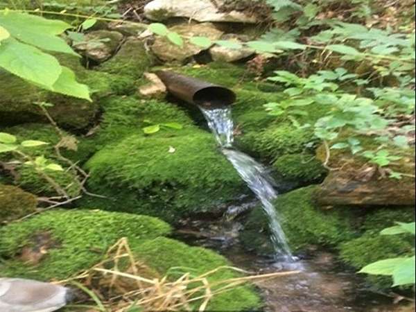 35 Acres of Land for Sale in Yellville, Arkansas