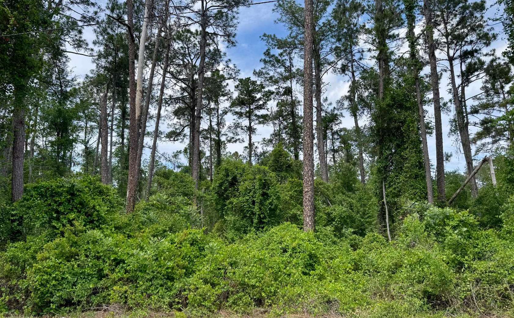 0.6 Acres of Residential Land for Sale in Jasper, Florida