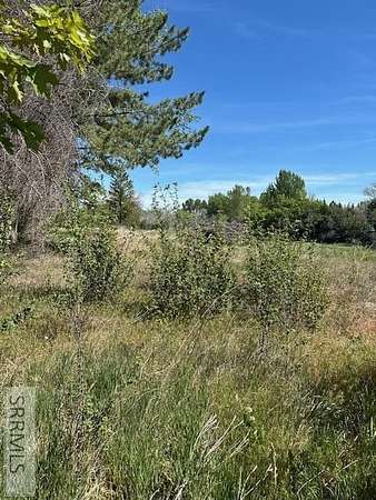 0.56 Acres of Land for Sale in Firth, Idaho