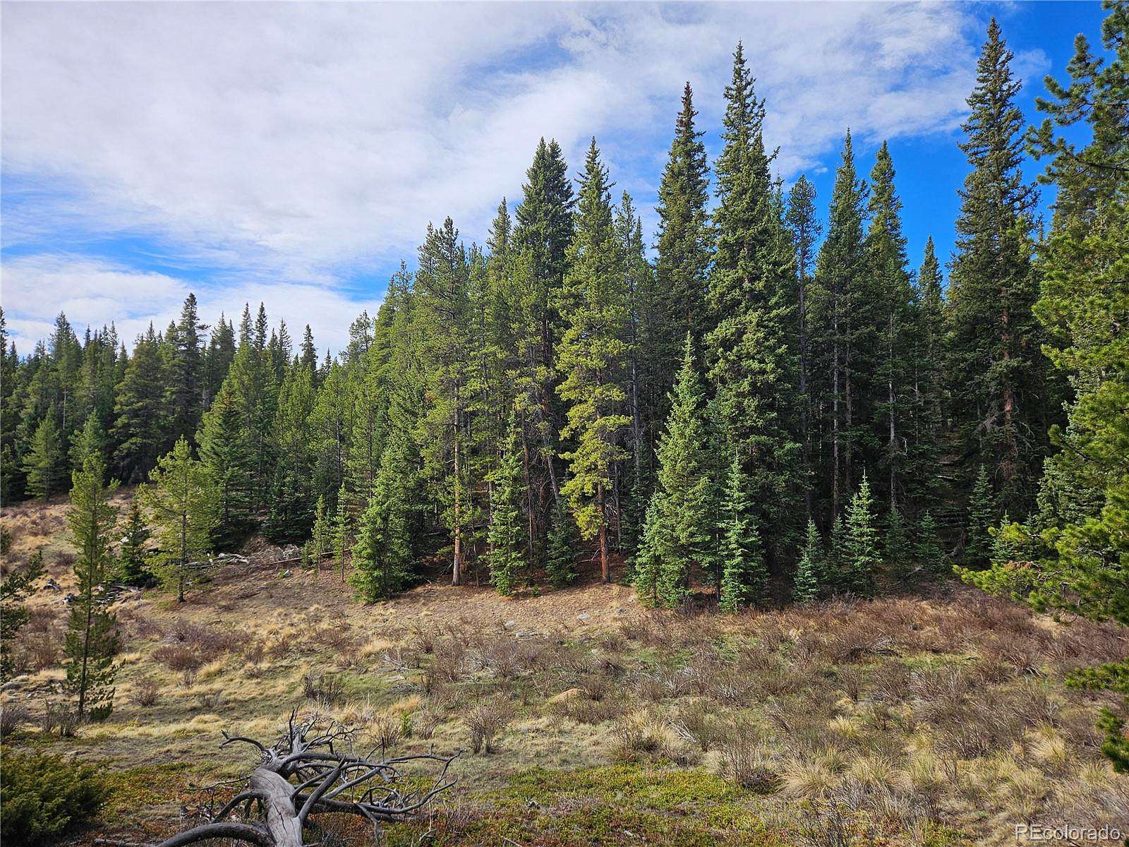 40 Acres of Recreational & Residential Land for Sale in Alma, Colorado