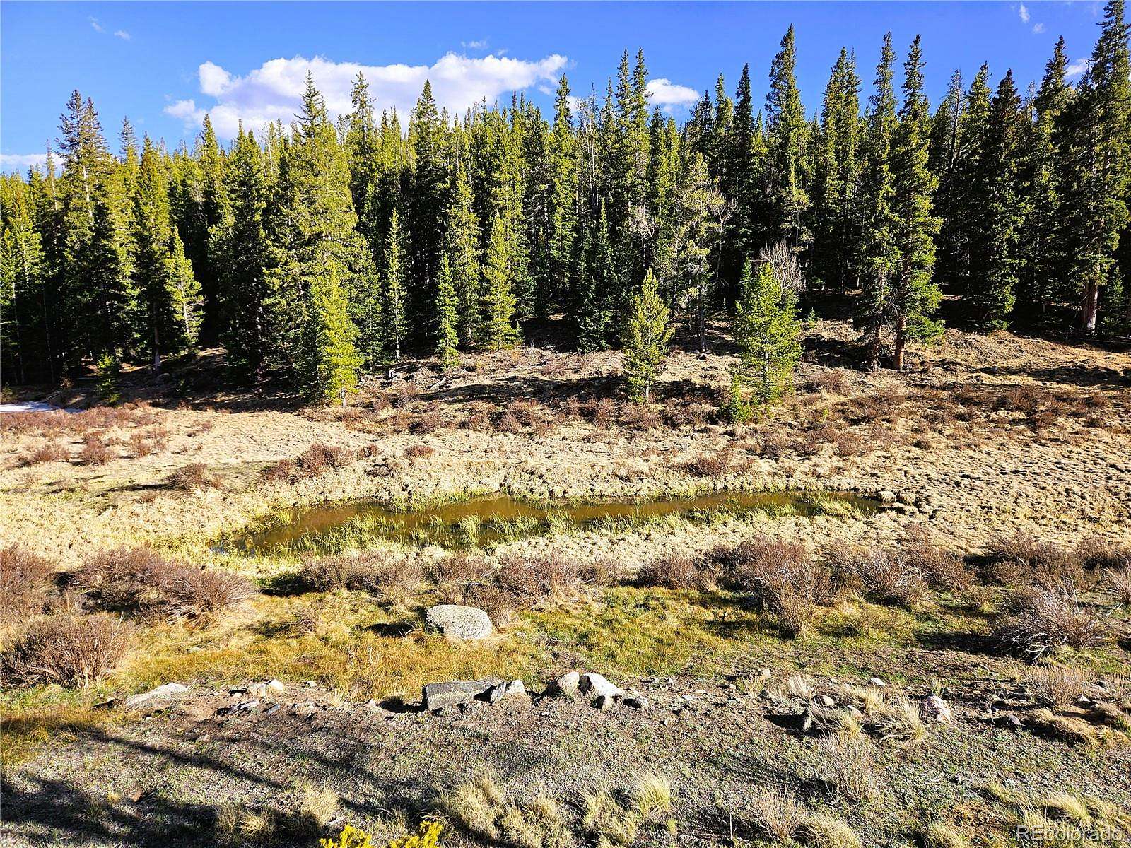 40 Acres of Recreational & Residential Land for Sale in Alma, Colorado