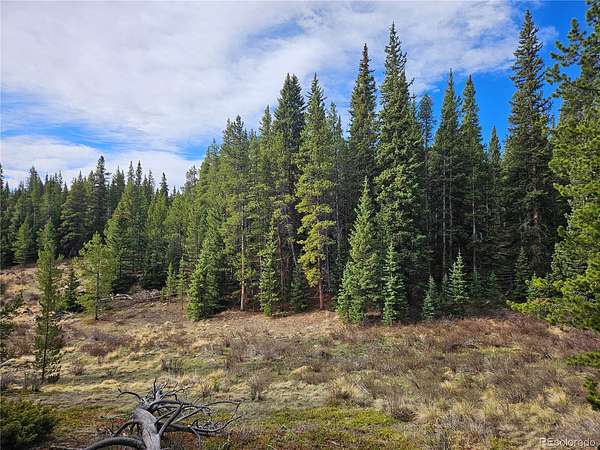 40 Acres of Recreational & Residential Land for Sale in Alma, Colorado