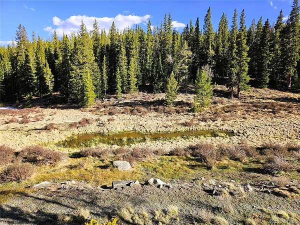 40 Acres of Recreational & Residential Land for Sale in Alma, Colorado