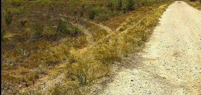 2.27 Acres of Residential Land for Sale in Midland, Texas