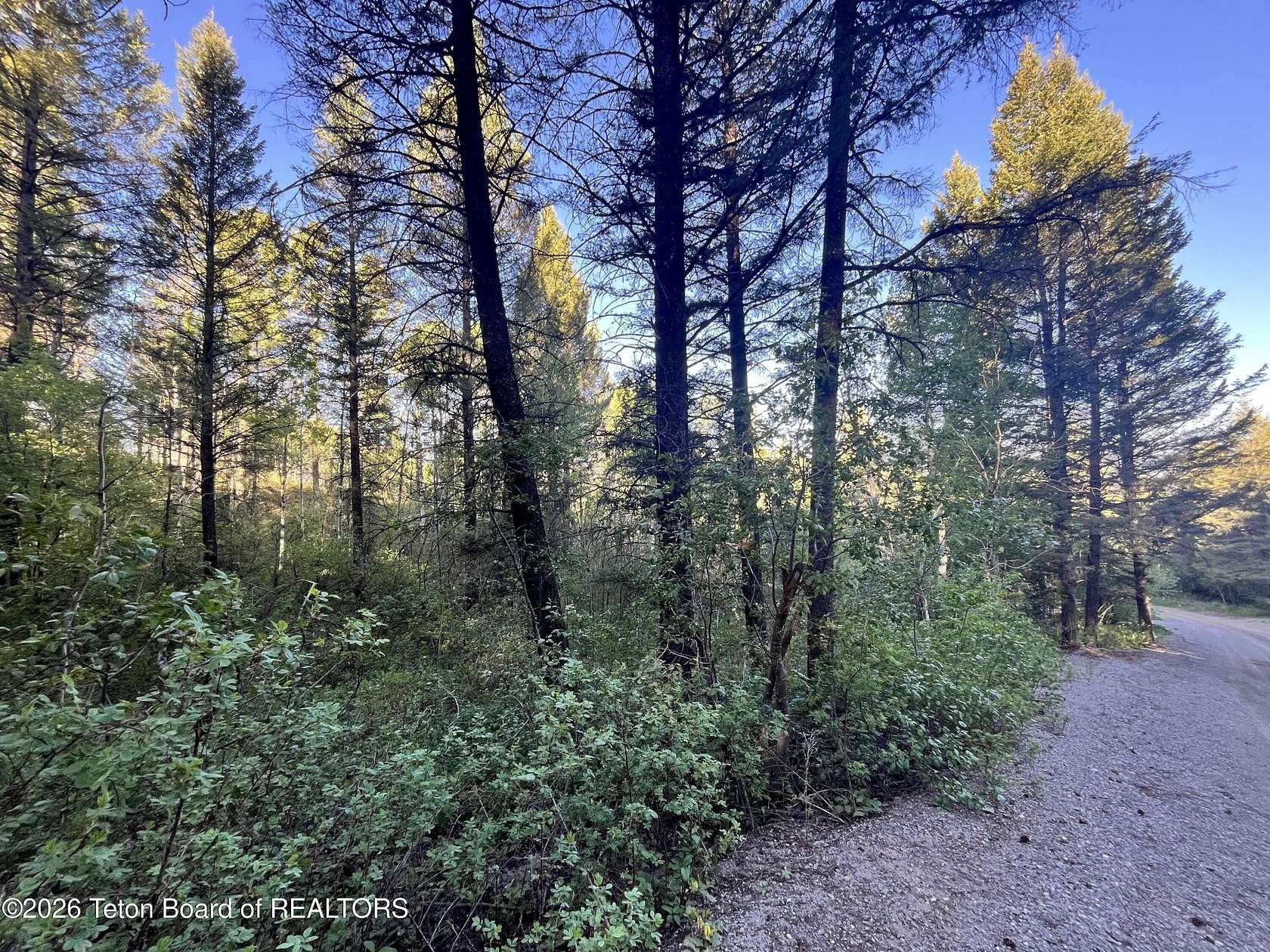 0.9 Acres of Residential Land for Sale in Star Valley Ranch, Wyoming