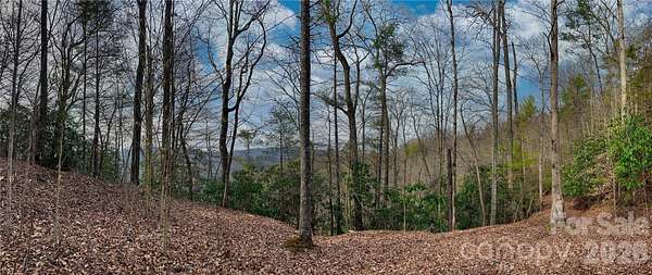 3.39 Acres of Residential Land for Sale in Marshall, North Carolina