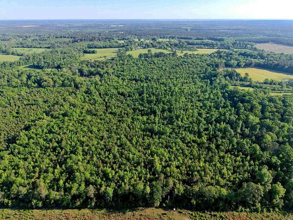 92.2 Acres of Recreational & Residential Land for Sale in Bodcaw, Arkansas