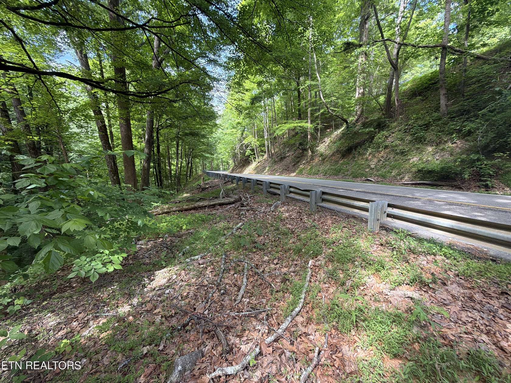 3 Acres of Residential Land for Sale in Townsend, Tennessee