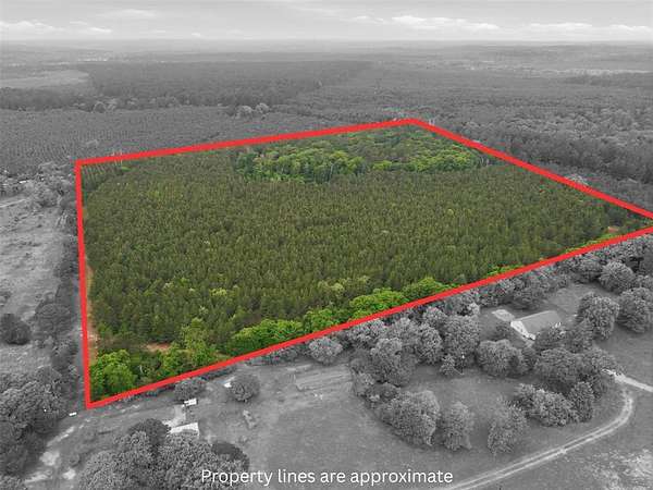30.4 Acres of Recreational Land for Sale in Hawkins, Texas