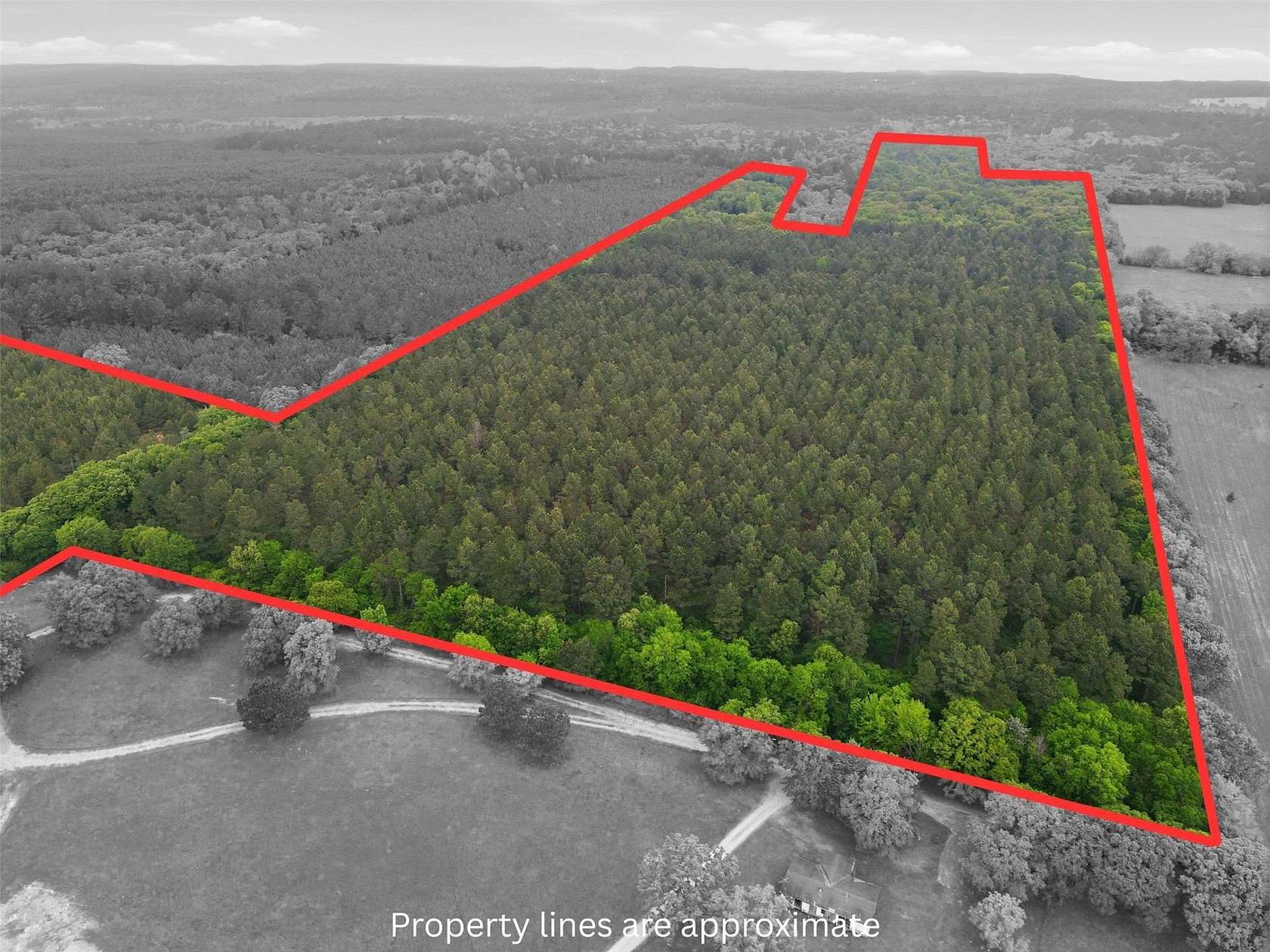 62.6 Acres of Recreational Land for Sale in Hawkins, Texas