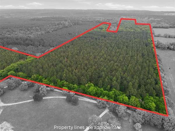 62.6 Acres of Recreational Land for Sale in Hawkins, Texas
