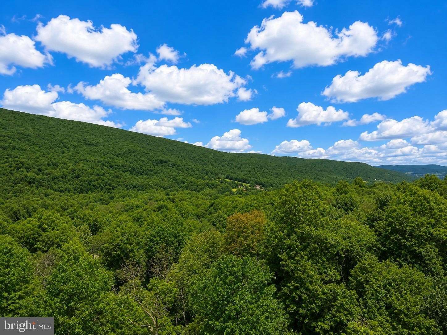 37.6 Acres of Recreational & Residential Land for Sale in Landisburg, Pennsylvania