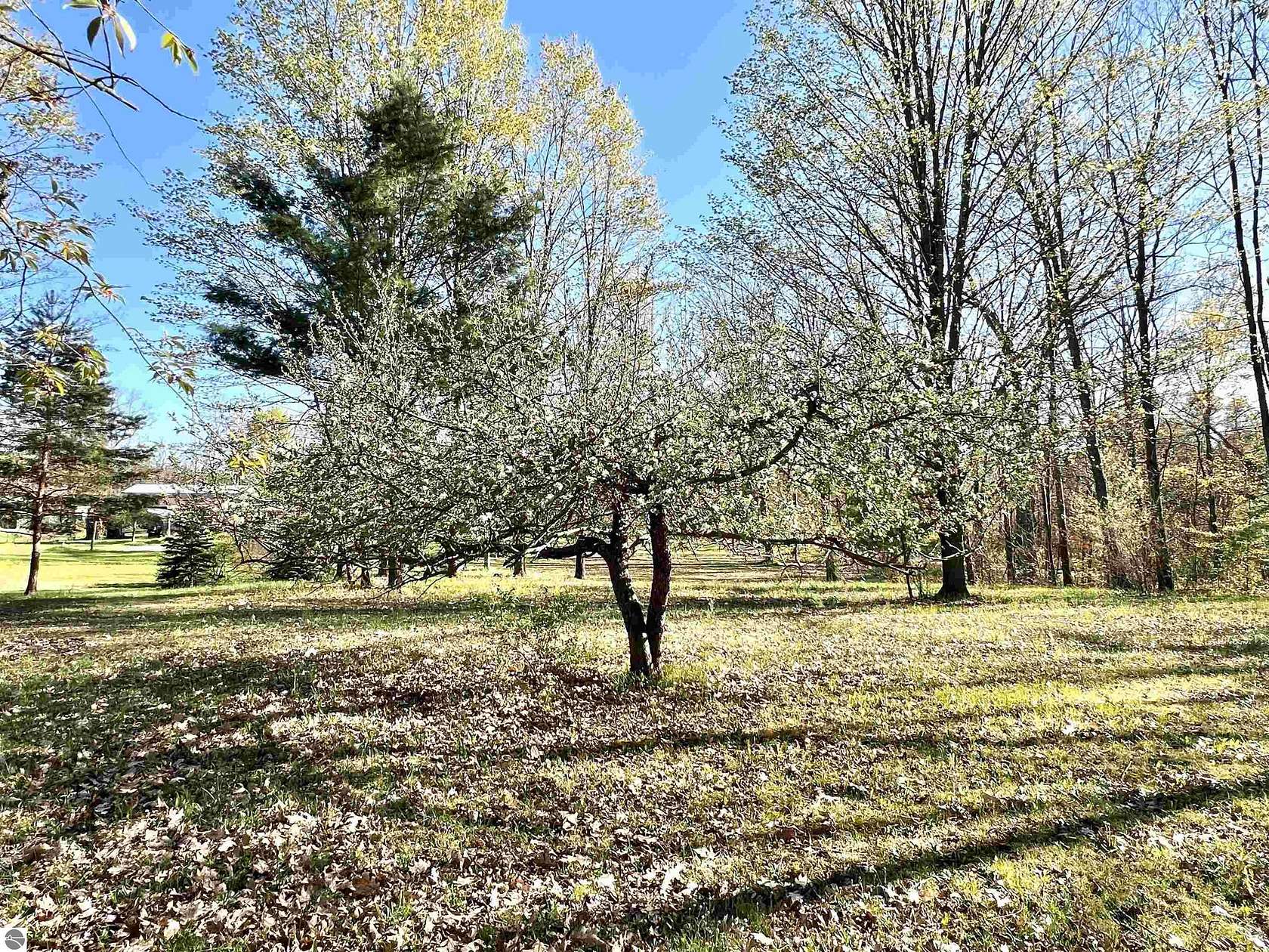 10 Acres of Recreational Land with Home for Sale in Luther, Michigan