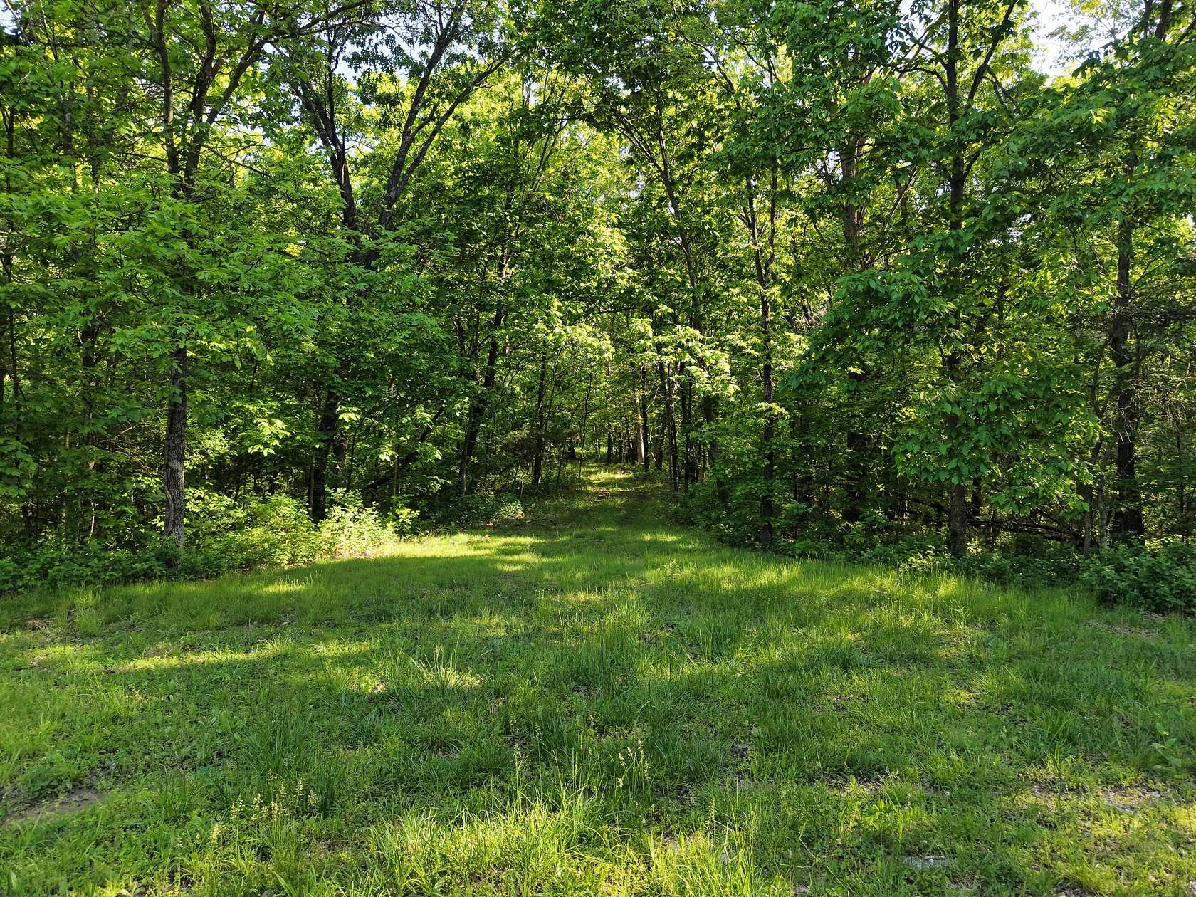 89 Acres of Recreational & Residential Land for Sale in Fulton, Missouri