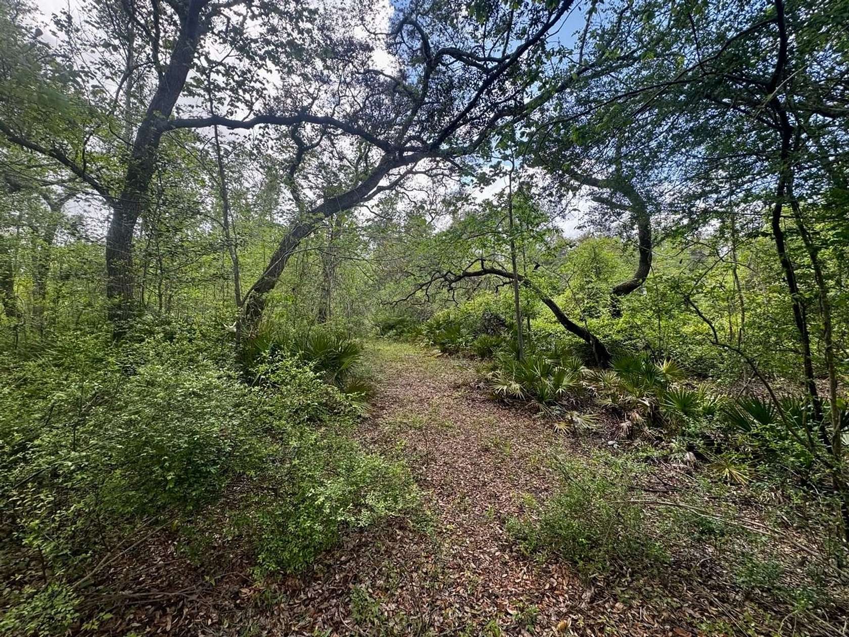 13 Acres of Recreational Land for Sale in Lee, Florida