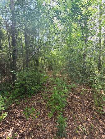 10.6 Acres of Recreational Land for Sale in Magnolia, Mississippi