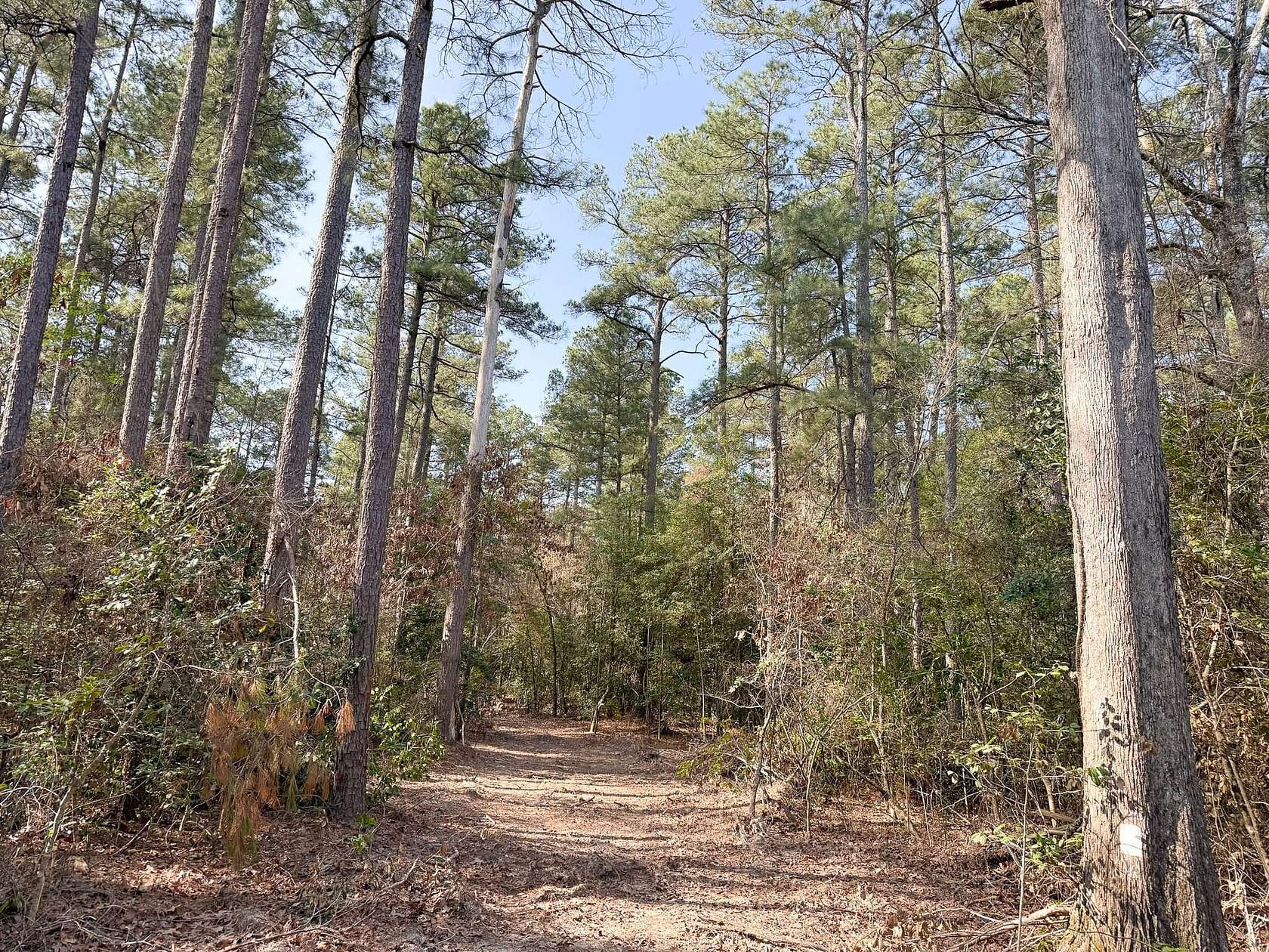 40 Acres of Recreational Land for Auction in Bearden, Arkansas