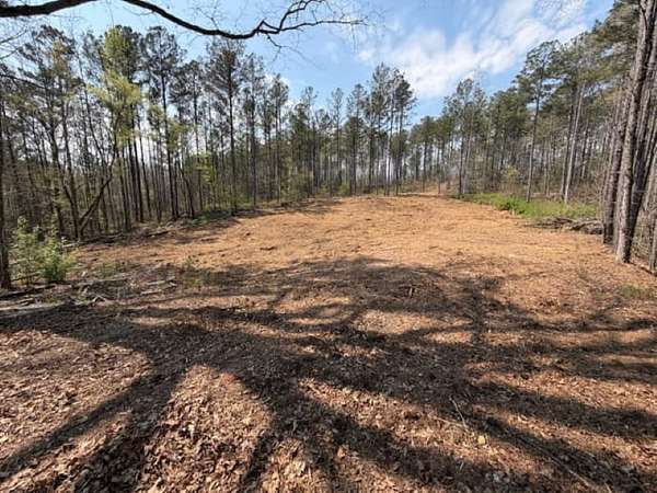 30 Acres of Land for Sale in Franklin, Georgia