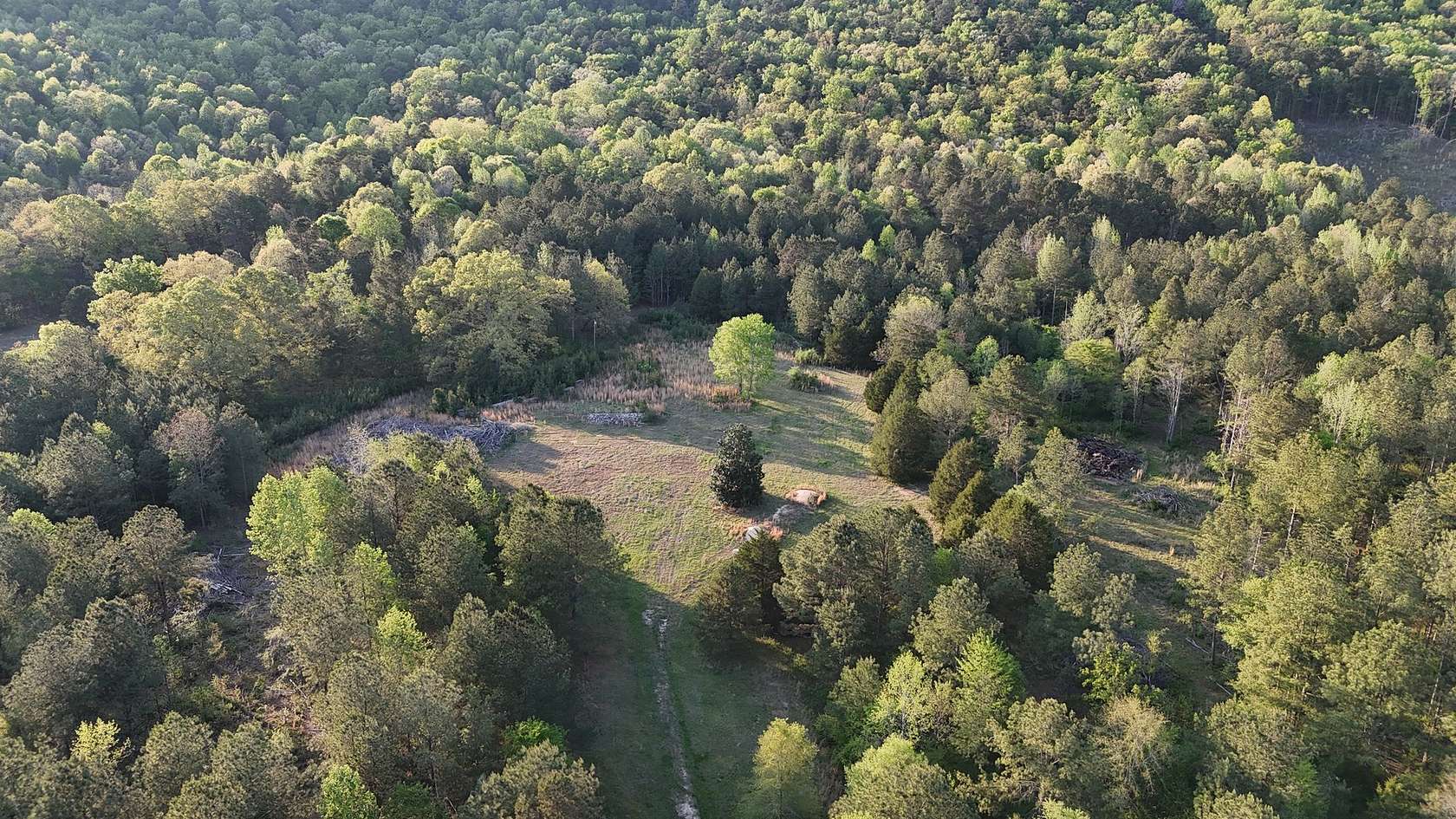 78 Acres of Recreational & Residential Land for Sale in Gadsden, Alabama