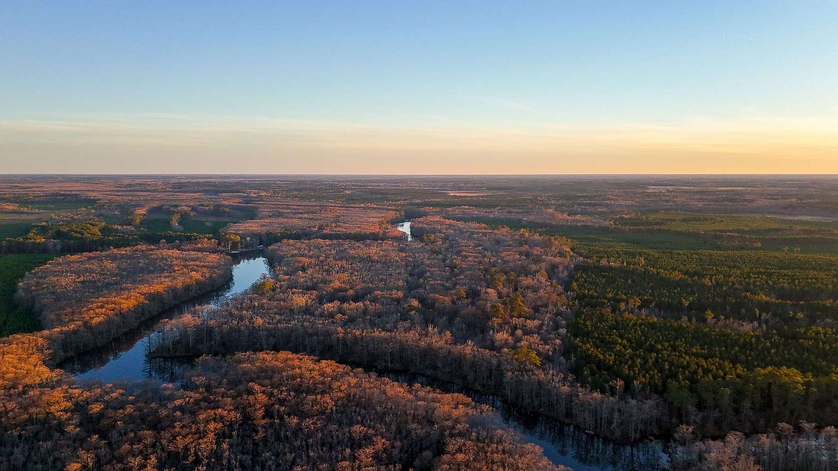 8,320 Acres of Recreational Land for Auction in Southampton, Virginia