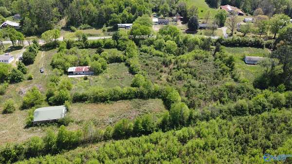 21.4 Acres of Land for Sale in Blountsville, Alabama
