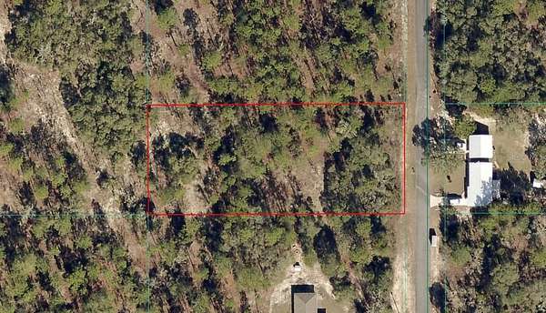 1 Acre of Residential Land for Sale in Dunnellon, Florida