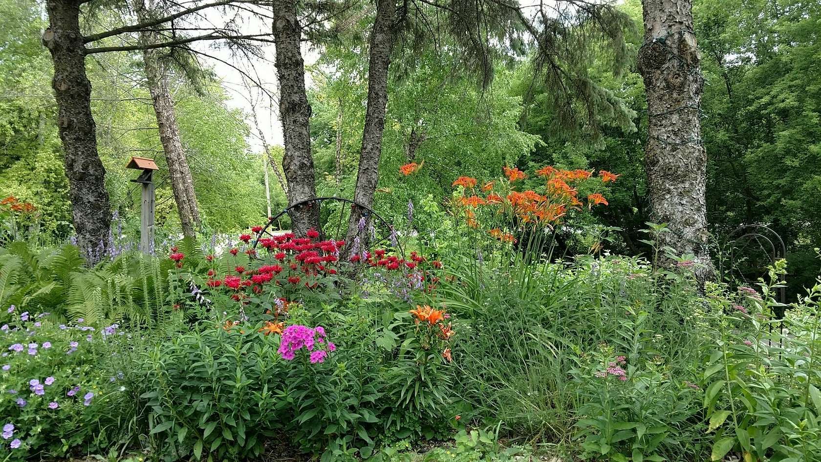 0.05 Acres of Land for Sale in Cokato, Minnesota